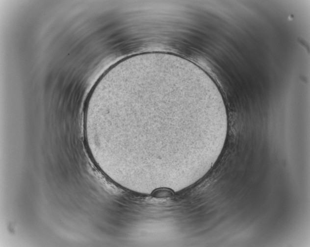 X0000102391140200808291417