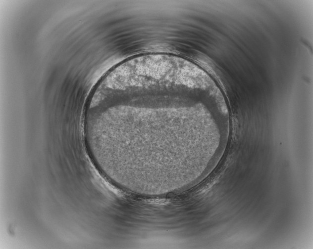 X0000102391141200808291417