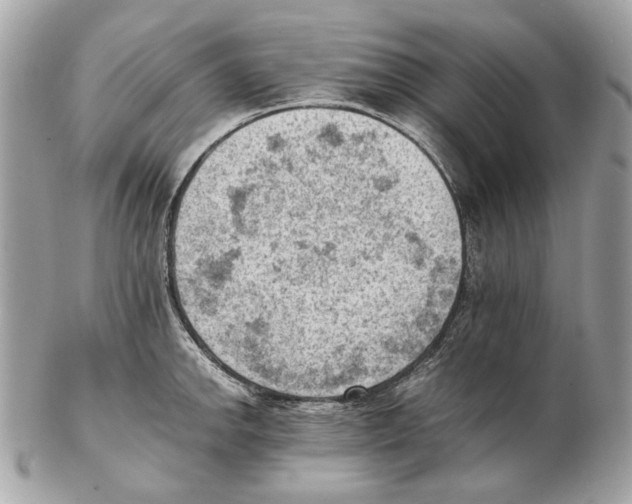 X0000102391142200808291418