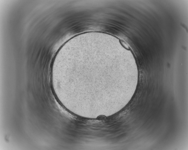 X0000102391143200808291418