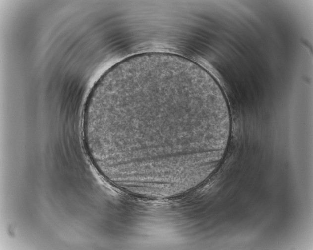 X0000102391144200808291418