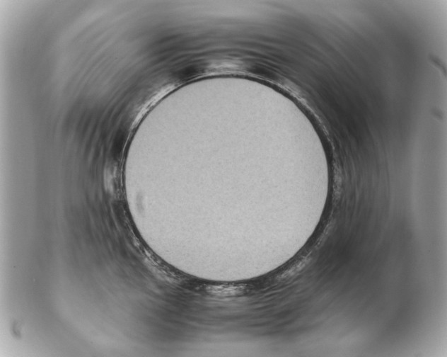 X0000102391145200808291418