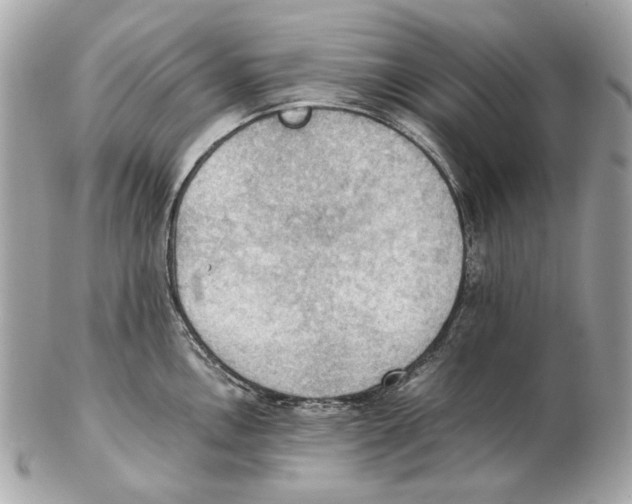 X0000102391146200808291418