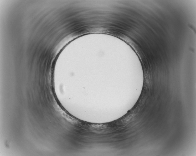 X0000102391147200808291418