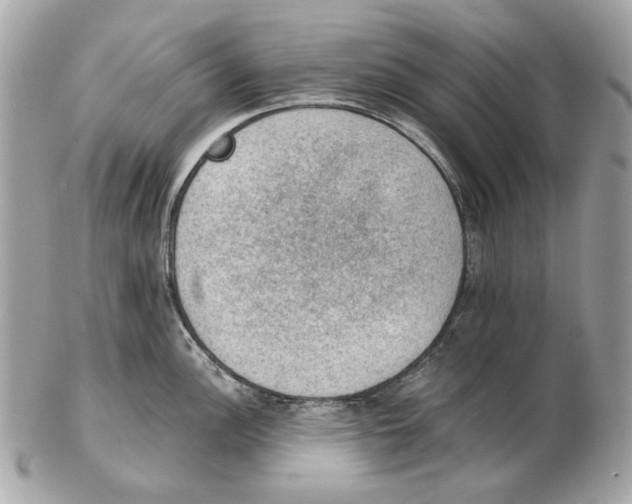 X0000102391148200808291418