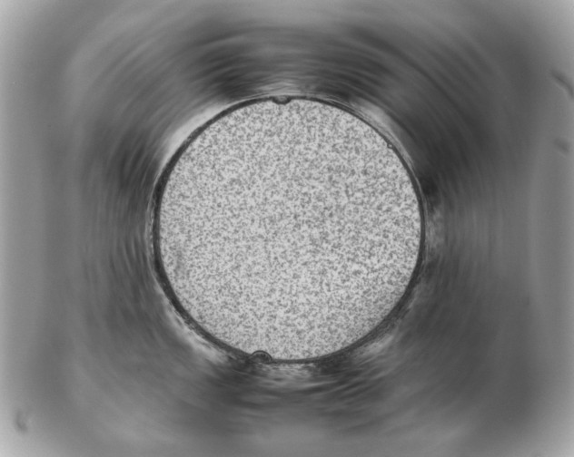X0000102391149200808291418
