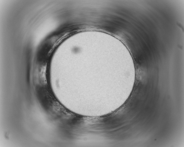 X0000102391150200808291418