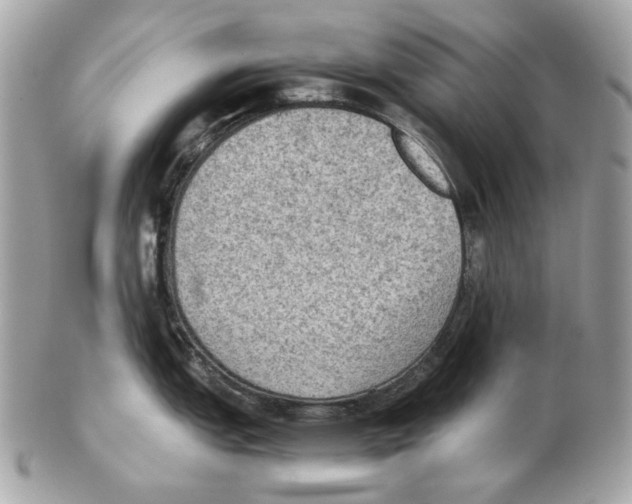 X0000102391151200808291418