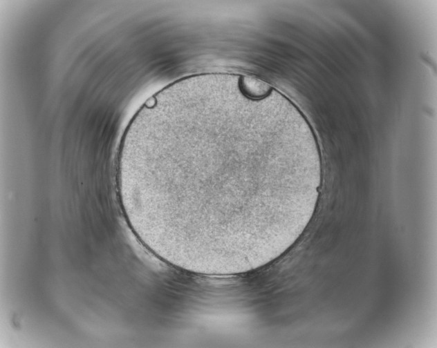 X0000102391152200808291418