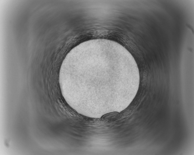 X0000102391153200808291417