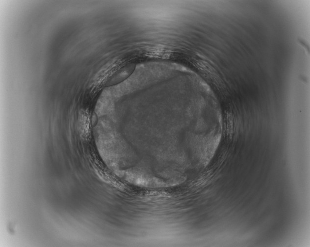 X0000102391154200808291417