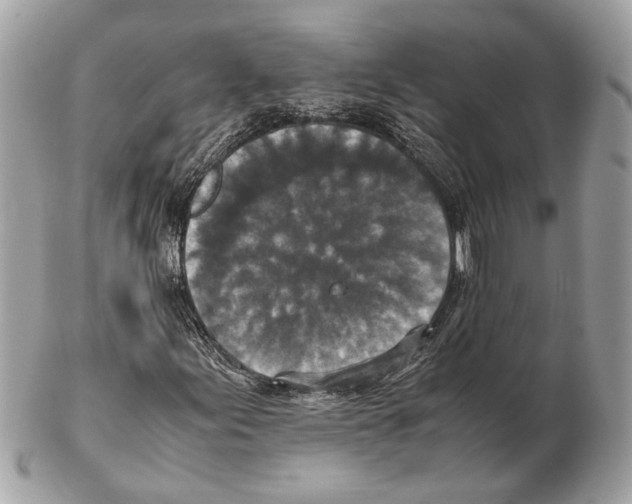 X0000102391155200808291417