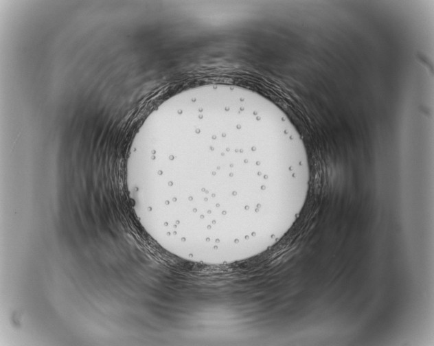 X0000102391156200808291417