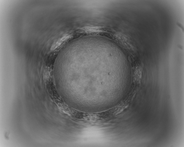 X0000102391157200808291417