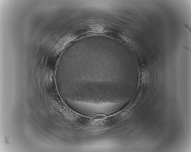 X0000102391161200808291417