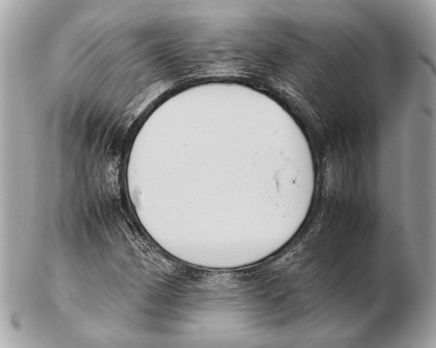 X0000102391162200808291417