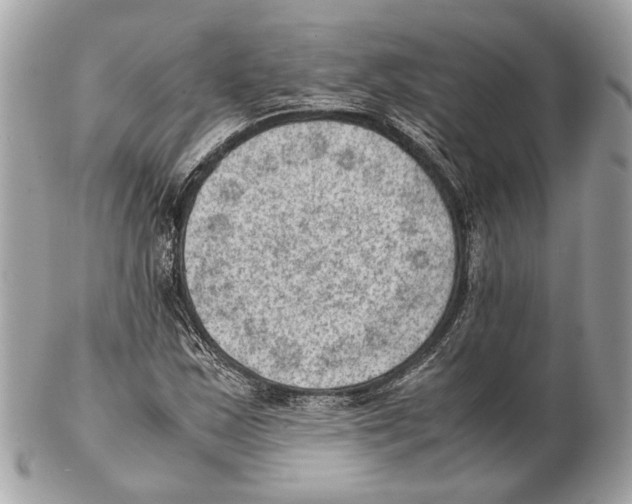X0000102391163200808291417