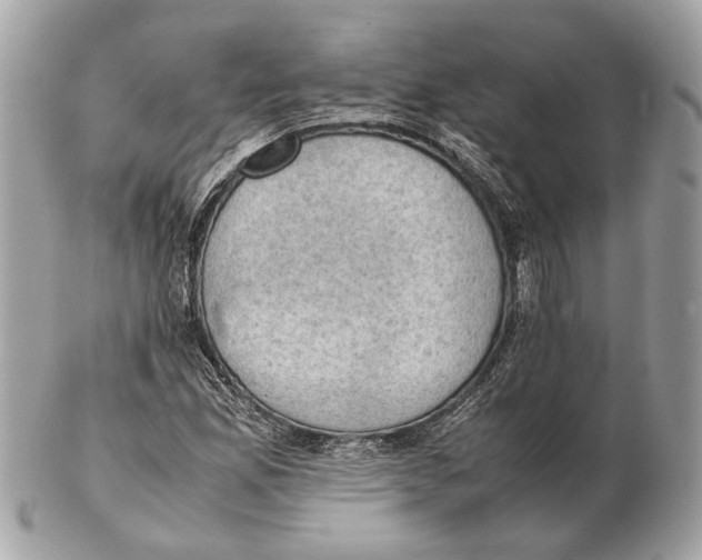 X0000102391165200808291417