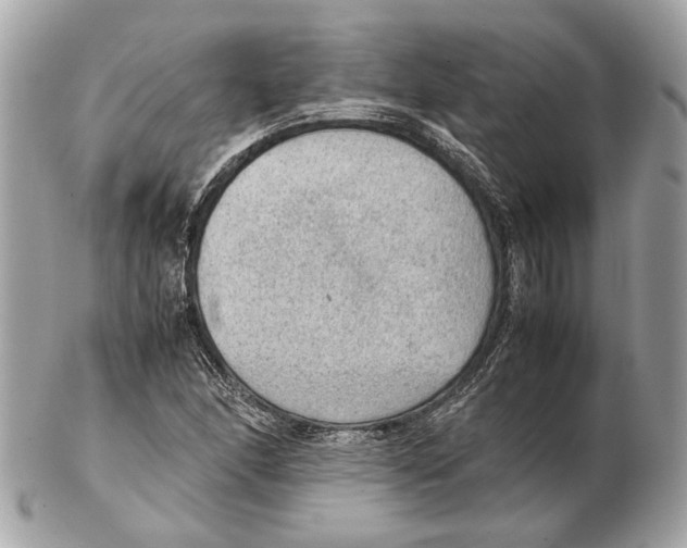 X0000102391166200808291417