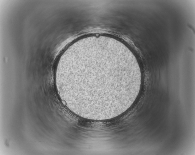X0000102391167200808291417