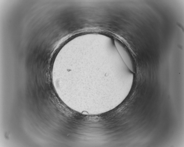 X0000102391168200808291417