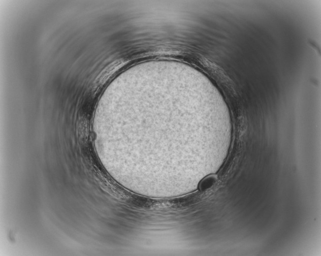 X0000102391169200808291417