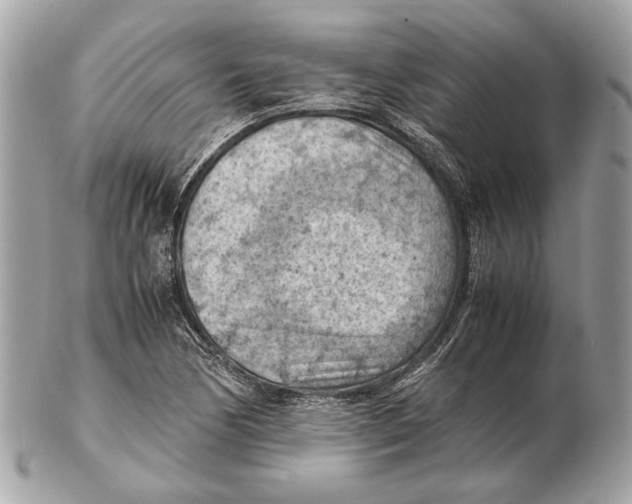 X0000102391170200808291417