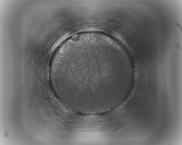 X0000102391173200808291417