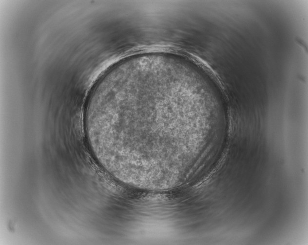 X0000102391174200808291417