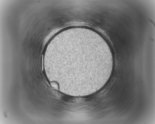 X0000102391175200808291417