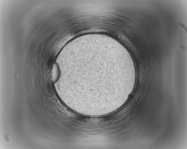 X0000102391177200808291417