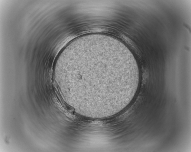 X0000102391178200808291417