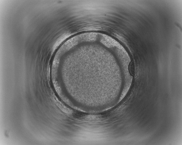 X0000102391179200808291417