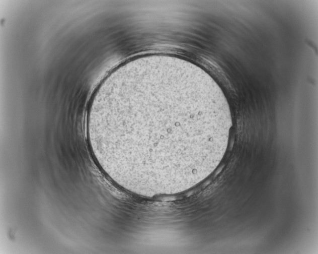 X0000102391180200808291417