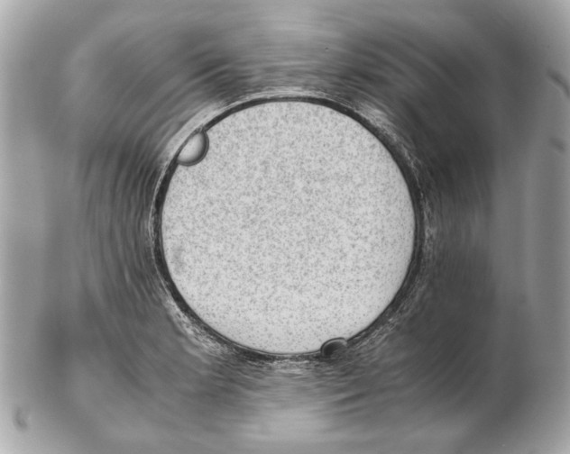 X0000102391181200808291417