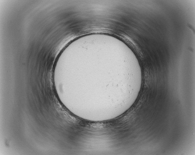 X0000102391182200808291417