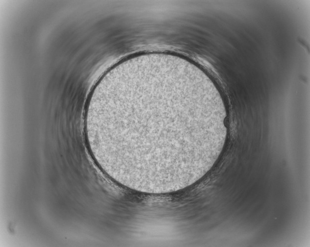 X0000102391183200808291417