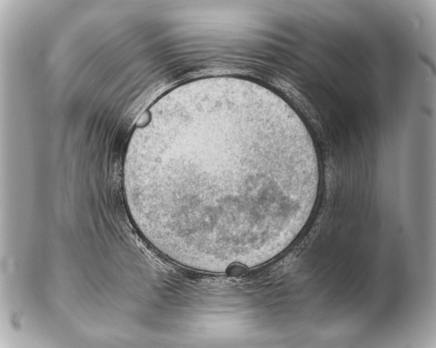 X0000102391185200808291417