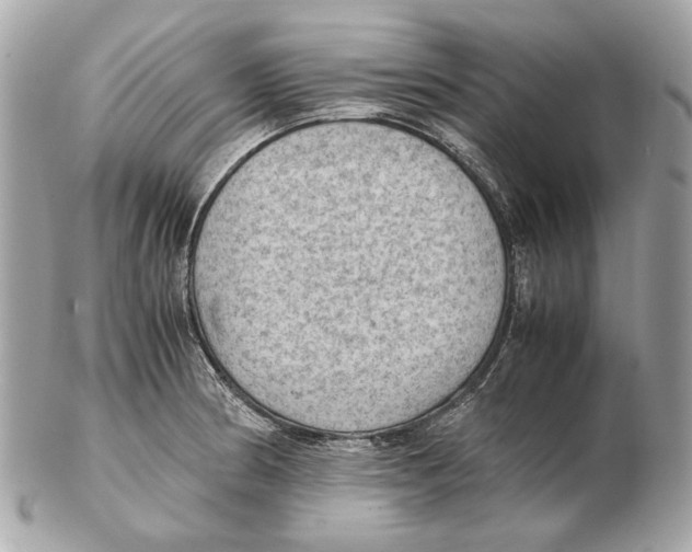 X0000102391186200808291417