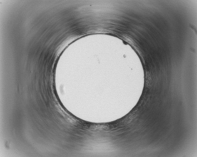 X0000102391187200808291417