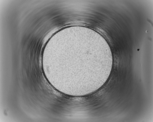 X0000102391188200808291416