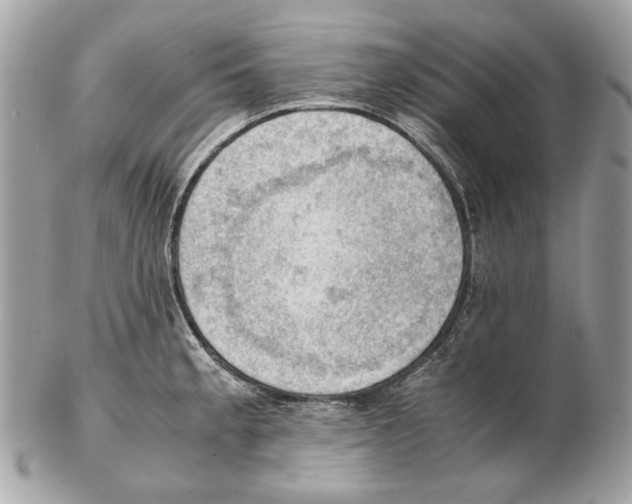 X0000102391189200808291416