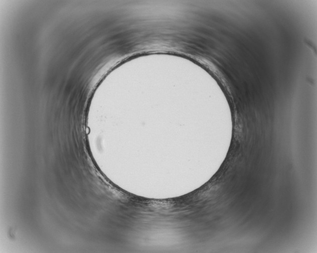 X0000102391191200808291416
