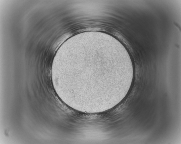 X0000102391193200808291416