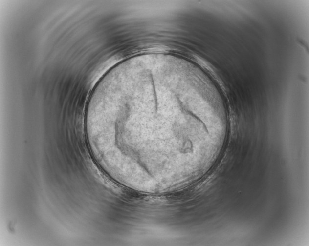 X0000102391194200808291416