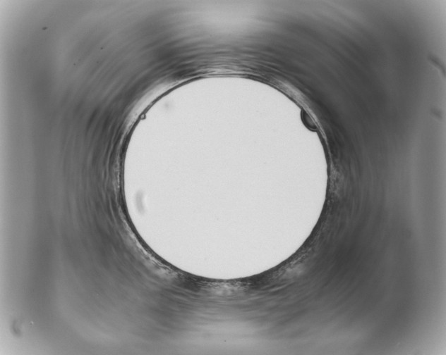 X0000102391195200808291416