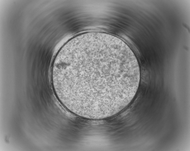 X0000102391196200808291416