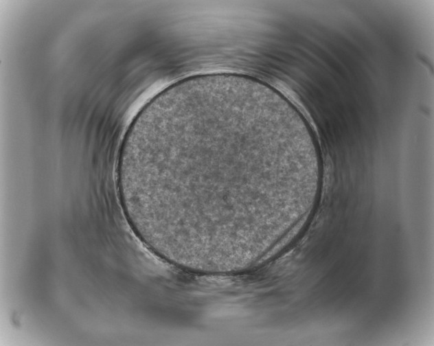 X0000102391197200808291416