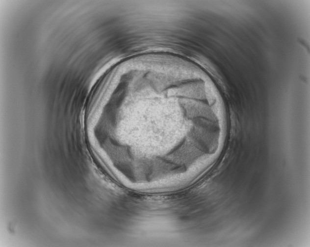 X0000102391198200808291416