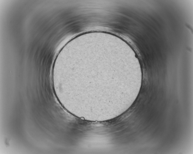 X0000102391199200808291416